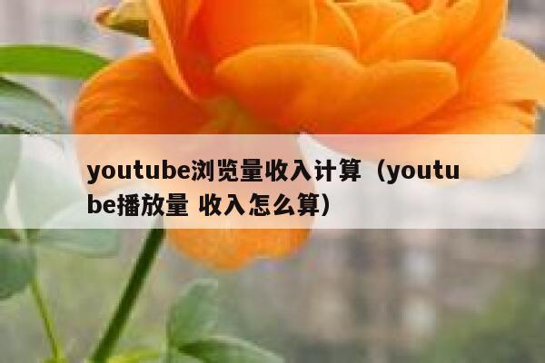 youtube浏览量收入计算（youtube播放量 收入怎么算） 第1张