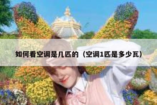 如何看空调是几匹的（空调1匹是多少瓦） 第1张