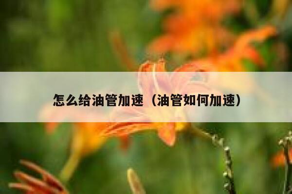 怎么给油管加速（油管如何加速） 第1张