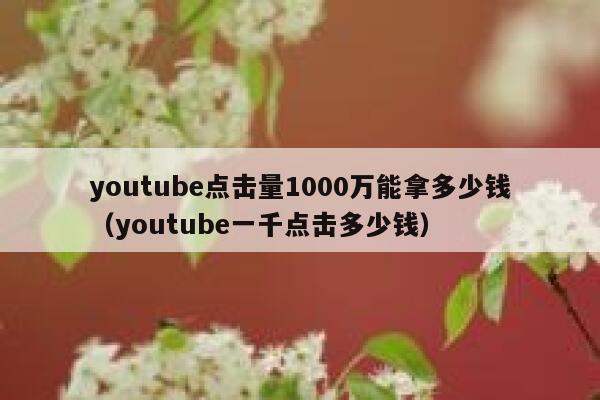 youtube点击量1000万能拿多少钱（youtube一千点击多少钱） 第1张