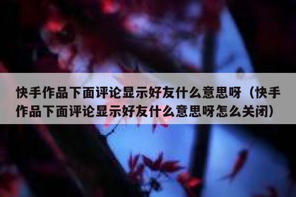 快手作品下面评论显示好友什么意思呀（快手作品下面评论显示好友什么意思呀怎么关闭） 第1张