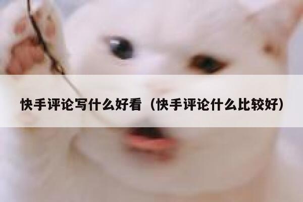 快手评论写什么好看（快手评论什么比较好） 第1张