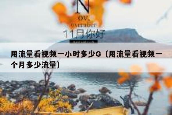 用流量看视频一小时多少G（用流量看视频一个月多少流量） 第1张