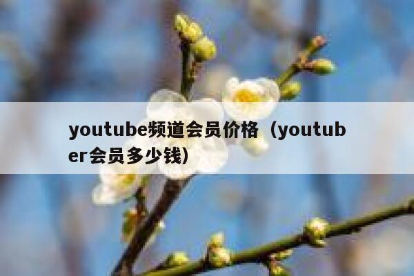 youtube频道会员价格（youtuber会员多少钱） 第1张
