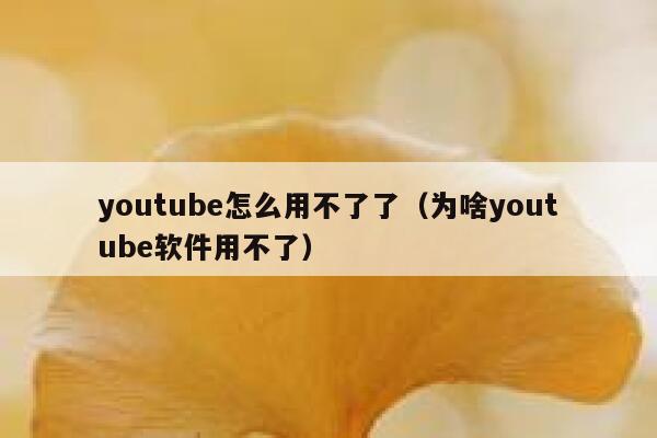 youtube怎么用不了了（为啥youtube软件用不了） 第1张