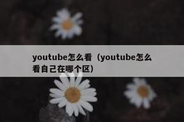 youtube怎么看（youtube怎么看自己在哪个区） 第1张