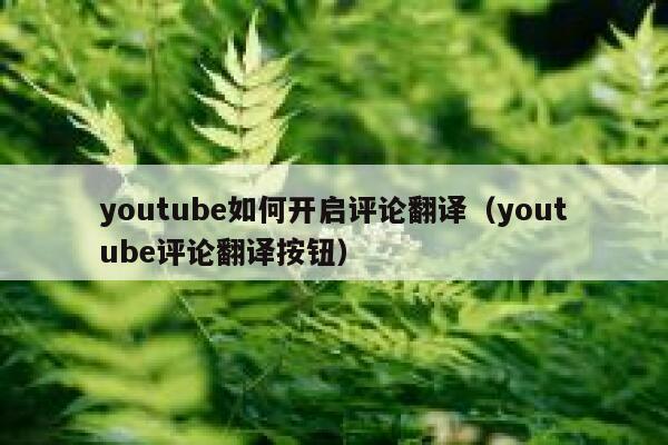 youtube如何开启评论翻译（youtube评论翻译按钮） 第1张