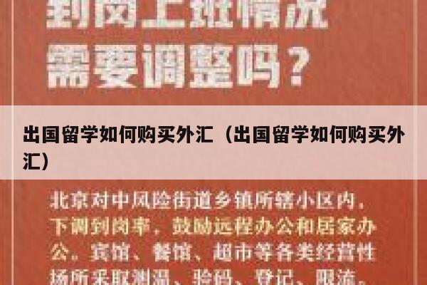 出国留学如何购买外汇（出国留学如何购买外汇） 第1张