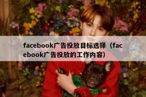 facebook广告投放目标选择（facebook广告投放的工作内容） 第1张