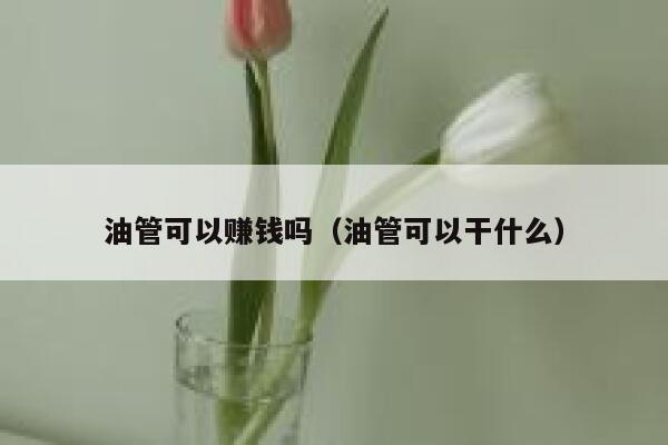 油管可以赚钱吗（油管可以干什么） 第1张