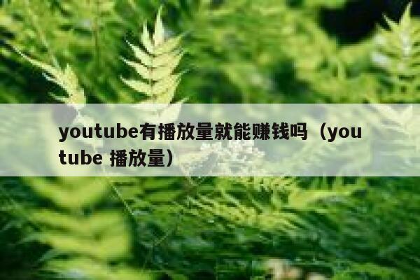 youtube有播放量就能赚钱吗（youtube 播放量） 第1张