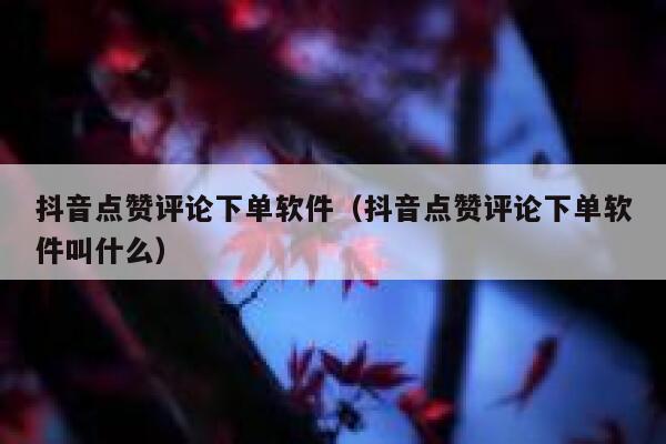 抖音点赞评论下单软件（抖音点赞评论下单软件叫什么） 第1张