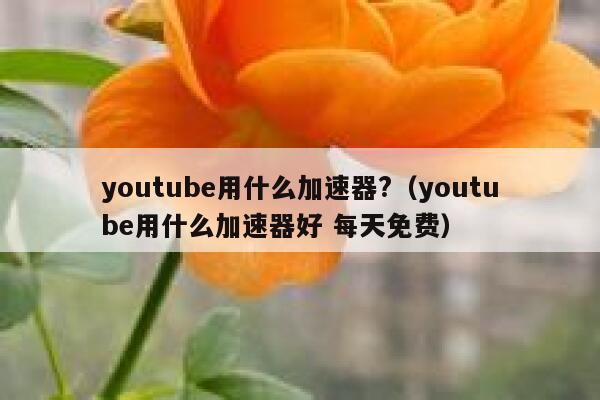 youtube用什么加速器?（youtube用什么加速器好 每天免费） 第1张