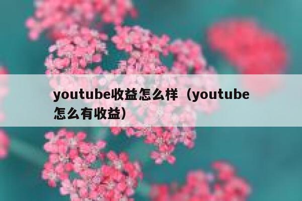 youtube收益怎么样（youtube怎么有收益） 第1张