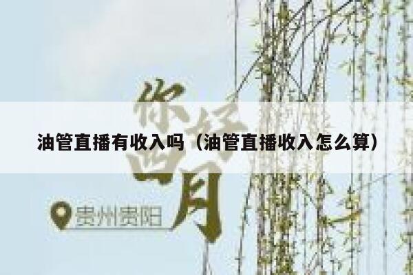 油管直播有收入吗（油管直播收入怎么算） 第1张