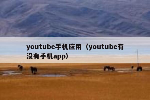 youtube手机应用（youtube有没有手机app） 第1张