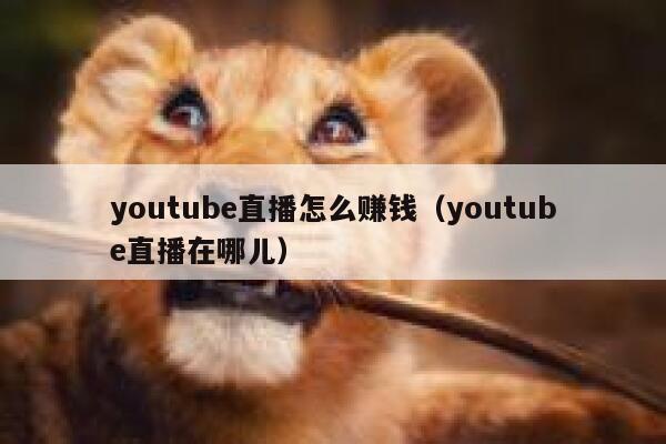 youtube直播怎么赚钱（youtube直播在哪儿） 第1张