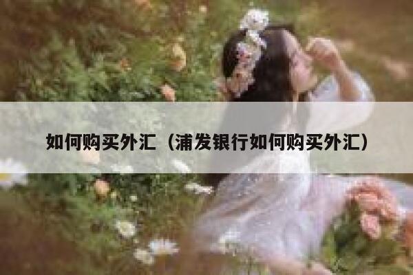 如何购买外汇（浦发银行如何购买外汇） 第1张