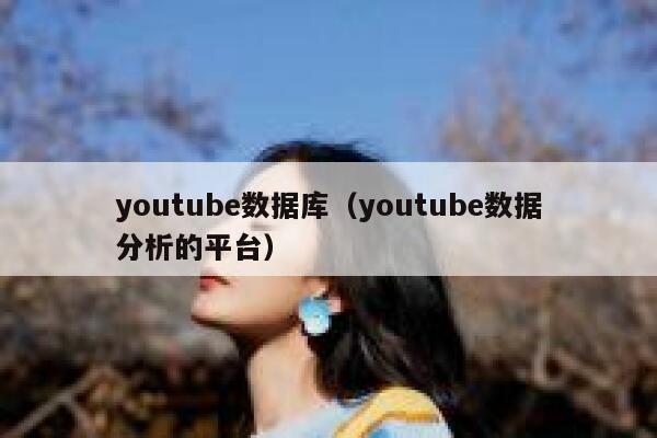 youtube数据库（youtube数据分析的平台） 第1张