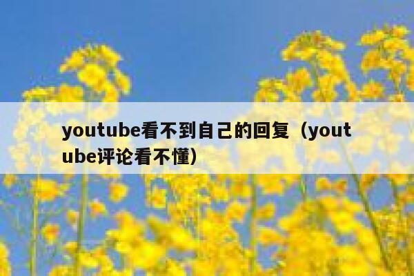 youtube看不到自己的回复（youtube评论看不懂） 第1张