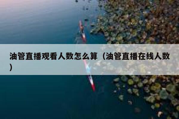 油管直播观看人数怎么算（油管直播在线人数） 第1张