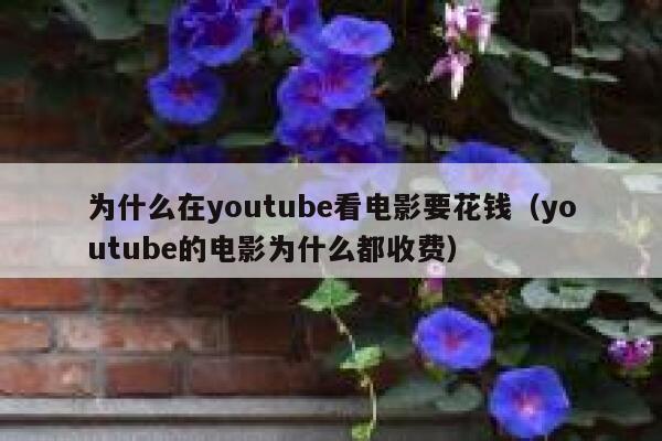 为什么在youtube看电影要花钱（youtube的电影为什么都收费） 第1张