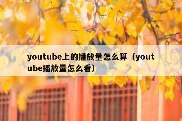 youtube上的播放量怎么算（youtube播放量怎么看） 第1张