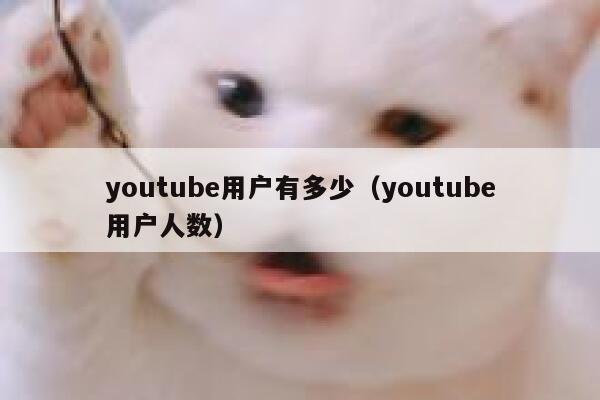 youtube用户有多少（youtube用户人数） 第1张