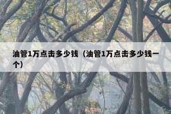 油管1万点击多少钱（油管1万点击多少钱一个） 第1张