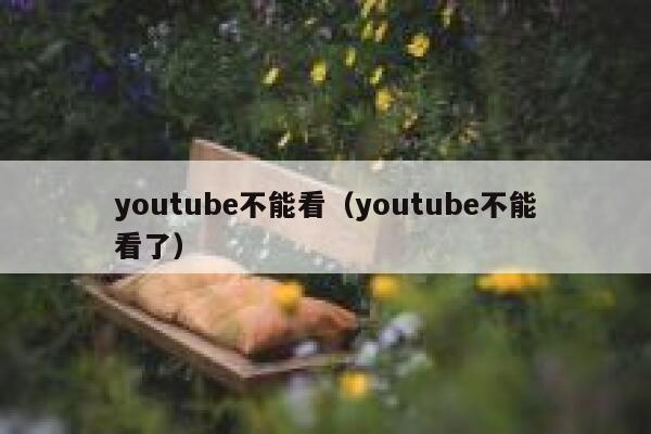 youtube不能看（youtube不能看了） 第1张
