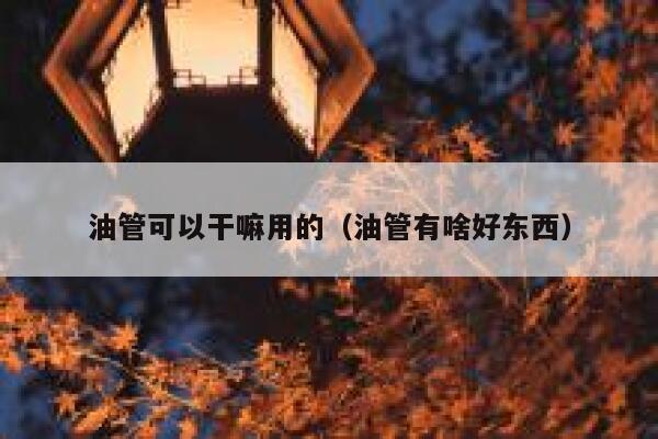 油管可以干嘛用的（油管有啥好东西） 第1张