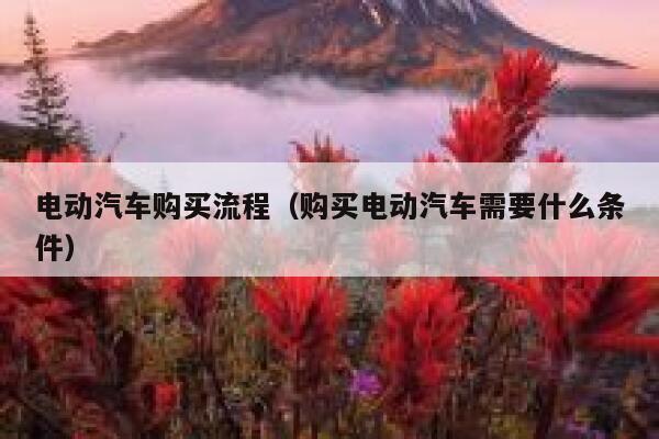 电动汽车购买流程（购买电动汽车需要什么条件） 第1张