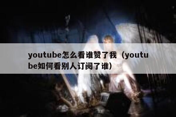 youtube怎么看谁赞了我（youtube如何看别人订阅了谁） 第1张