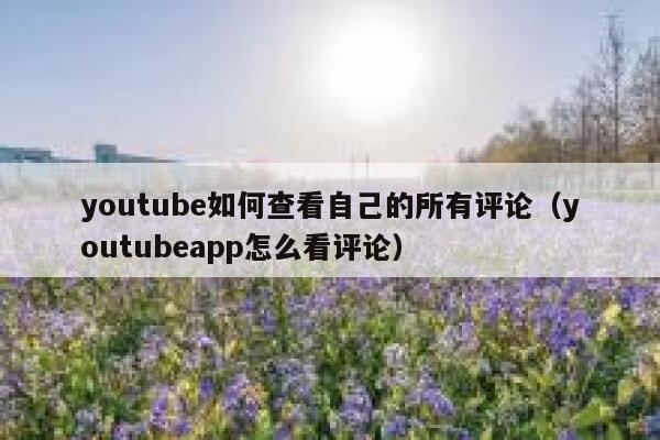 youtube如何查看自己的所有评论（youtubeapp怎么看评论） 第1张
