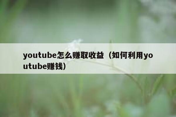 youtube怎么赚取收益（如何利用youtube赚钱） 第1张