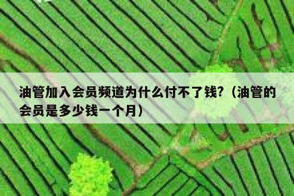 油管加入会员频道为什么付不了钱?（油管的会员是多少钱一个月） 第1张