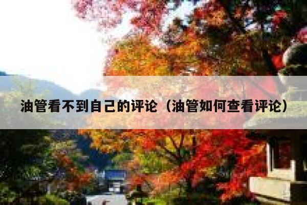 油管看不到自己的评论（油管如何查看评论） 第1张