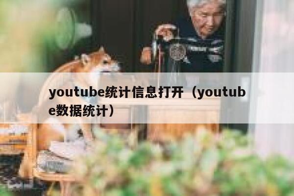 youtube统计信息打开（youtube数据统计） 第1张