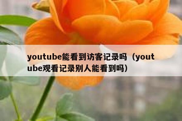 youtube能看到访客记录吗（youtube观看记录别人能看到吗） 第1张