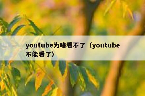 youtube为啥看不了（youtube不能看了） 第1张