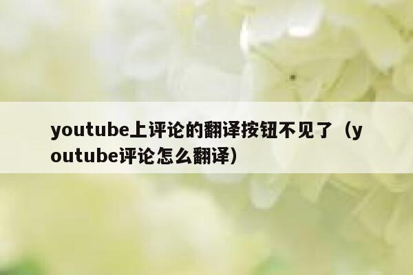 youtube上评论的翻译按钮不见了（youtube评论怎么翻译） 第1张