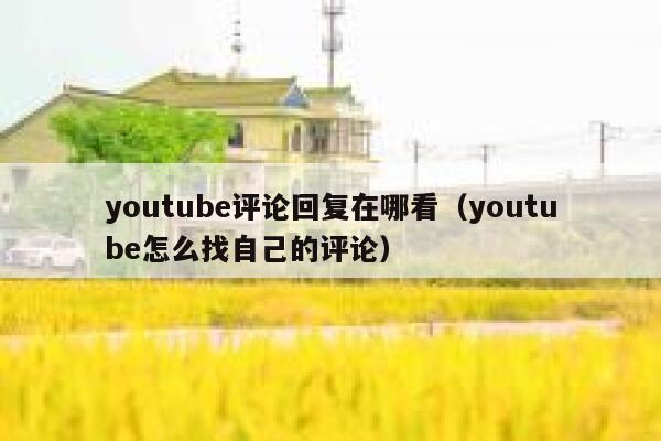 youtube评论回复在哪看（youtube怎么找自己的评论） 第1张