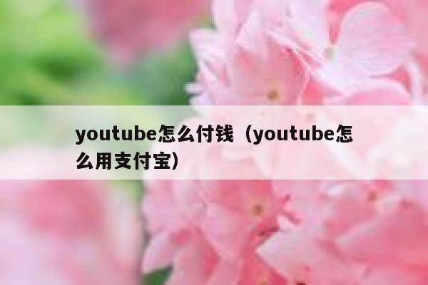 youtube怎么付钱（youtube怎么用支付宝） 第1张
