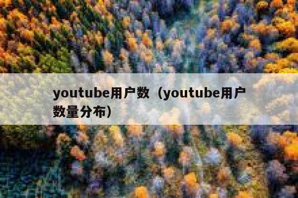 youtube用户数（youtube用户数量分布） 第1张