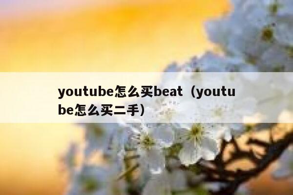 youtube怎么买beat（youtube怎么买二手） 第1张
