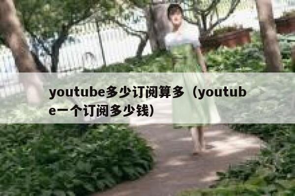 youtube多少订阅算多（youtube一个订阅多少钱） 第1张
