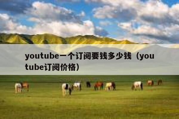 youtube一个订阅要钱多少钱（youtube订阅价格） 第1张