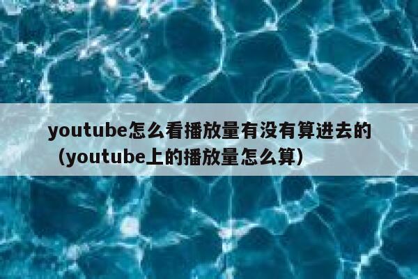 youtube怎么看播放量有没有算进去的（youtube上的播放量怎么算） 第1张