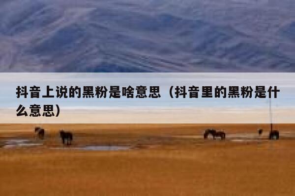 抖音上说的黑粉是啥意思（抖音里的黑粉是什么意思） 第1张