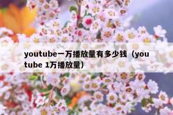 youtube一万播放量有多少钱（youtube 1万播放量） 第1张